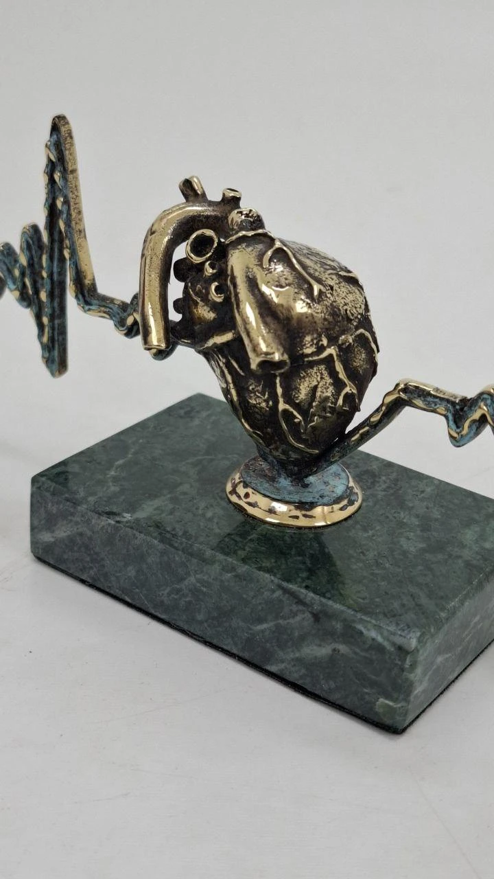 Pulse — anatomical heart, ხედი 7