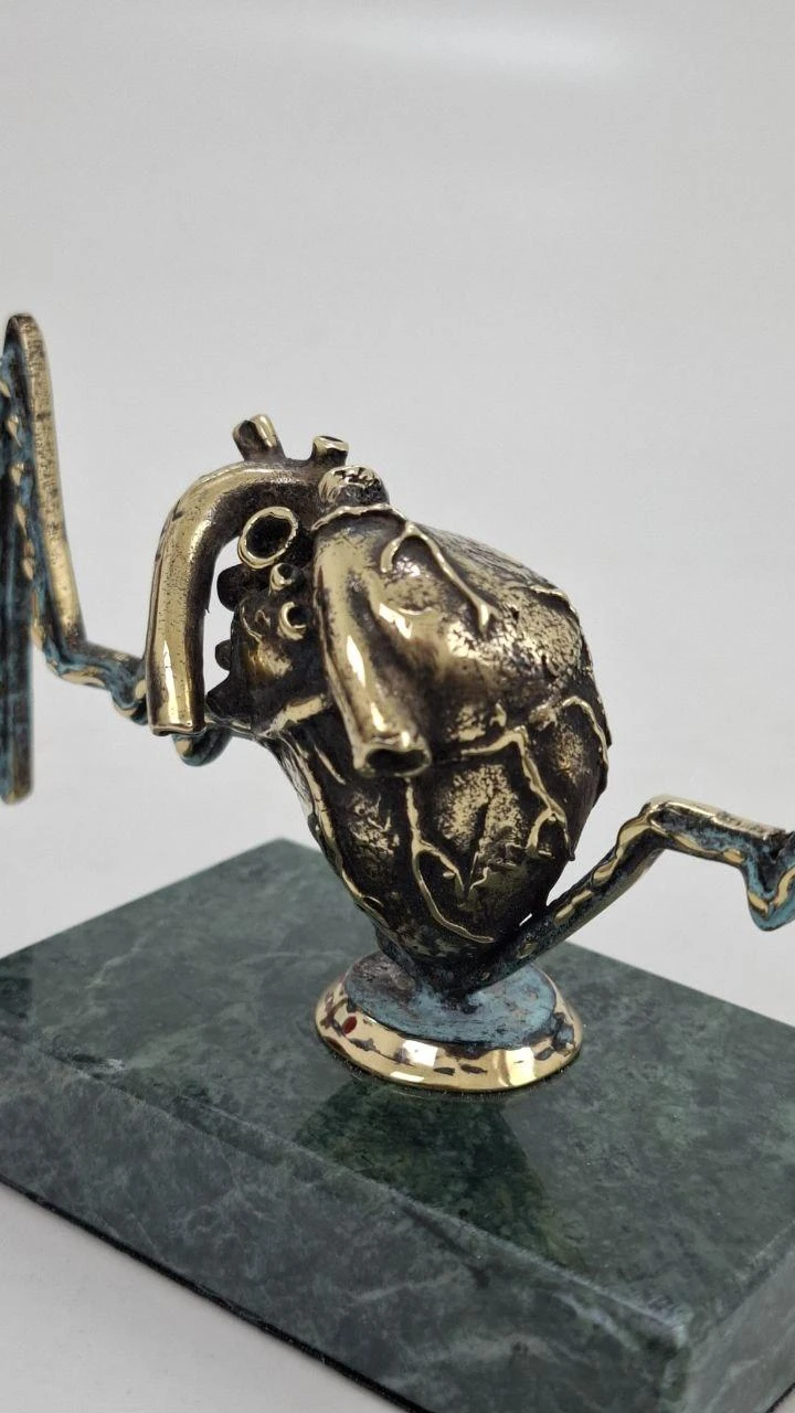 Pulse — anatomical heart, ხედი 4