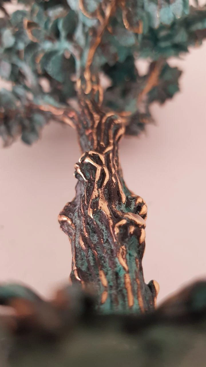 Дерево, ხედი 3