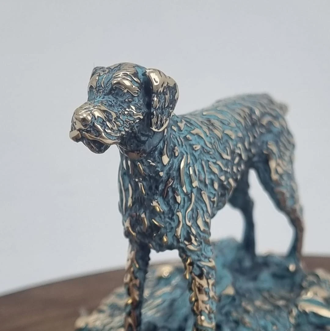 ''Dog'', ხედი 1
