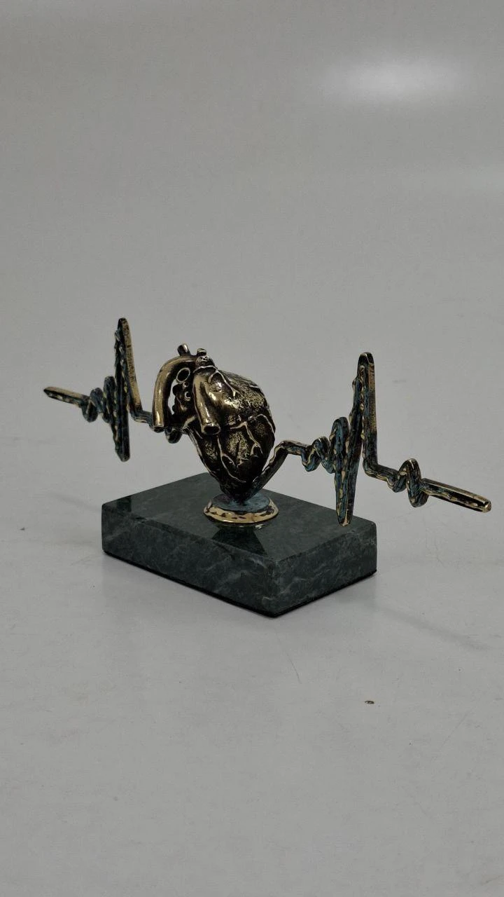 Pulse — anatomical heart, ხედი 6