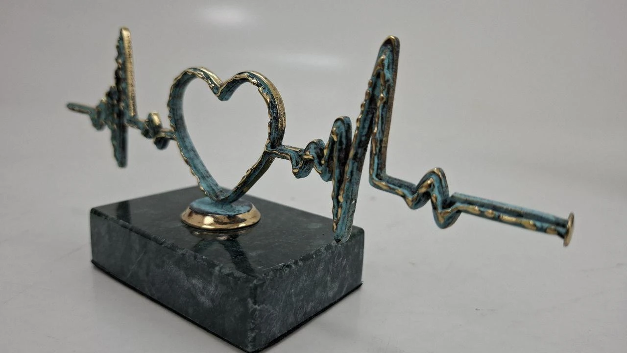Pulse — heart, ხედი 1