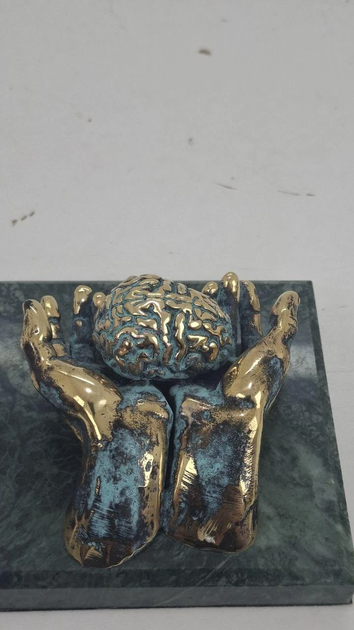The brain, ხედი 6