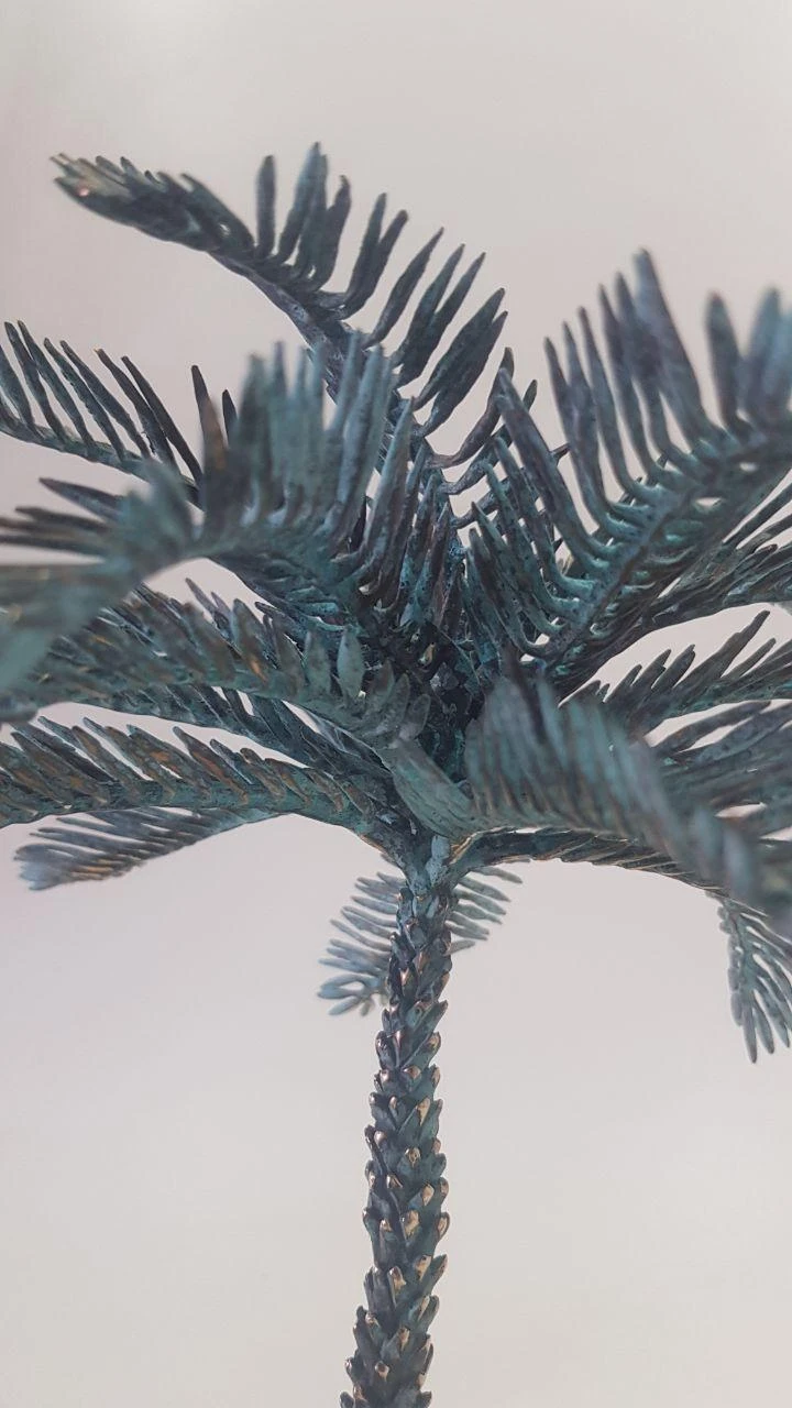''Palm tree", ხედი 2