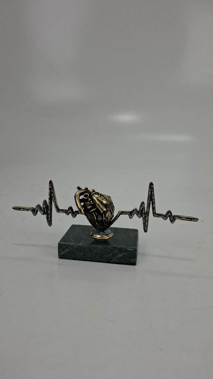 Pulse — anatomical heart, ხედი 2
