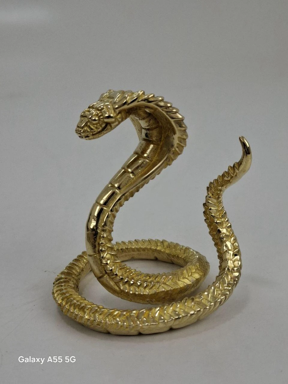 Змея, ხედი 2