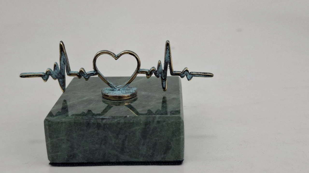 Pulse — heart, ხედი 2